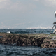 Illustration for article titled These Eerie Kinetic Sculptures by the Sea Would Also Make Electricity